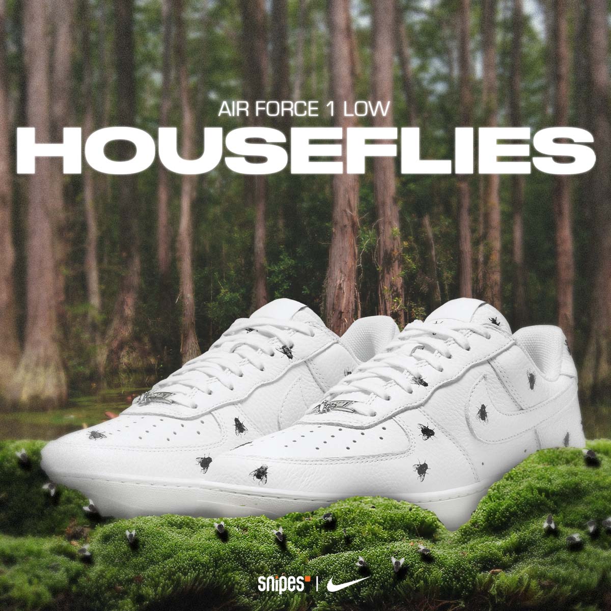 "HOUSEFLIES"